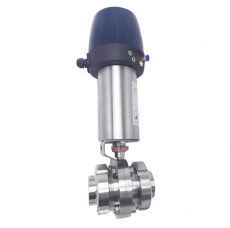 Flexible pneumatic butterfly valve with control head 2