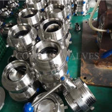 Butterfly Valve7