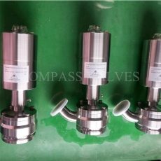 Tank bottom valve